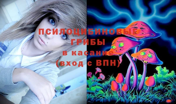 гидра Беломорск