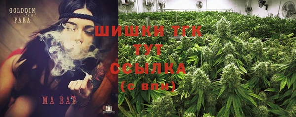 a pvp Белокуриха